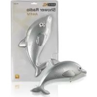 Notice BASICXL BXLSR11 Radio