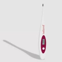 Digithermo TERRAILLON