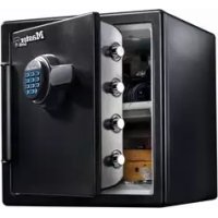 LFW123FTC Master Lock