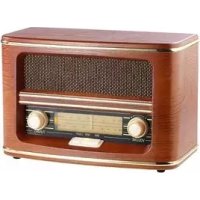 NostalgieRadio ZX1513 AUVISIO