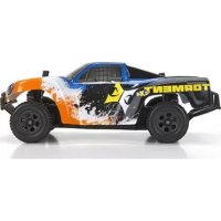 Torment ECX00014T1 ECX