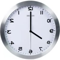 KNCL10 KONIG