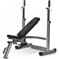 Adonis Plus Horizon Fitness