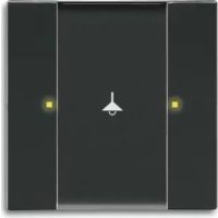 Busch-Jaeger 61250281 - Prise murale