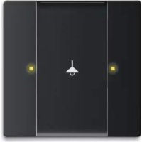 Busch-Jaeger 612502885 - Prise murale