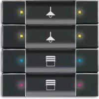 61270281 Busch-Jaeger