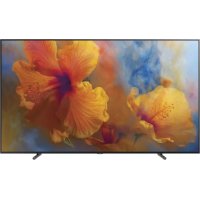 SAMSUNG QE65Q9FAMT - Fjernsyn