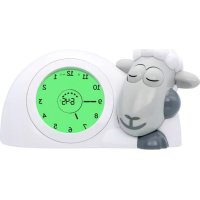 Notice Zazu ZASAM1 Horloge