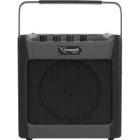 Passport Mini FENDER