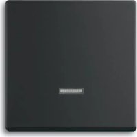 2CKA006599A2968 Busch-Jaeger