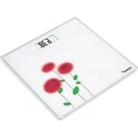 Notice KORONA GRETA Balance