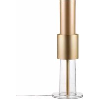 IonFlow Evolution Gold LifeAir