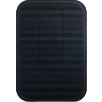 Pulse Flex 2i Bluesound