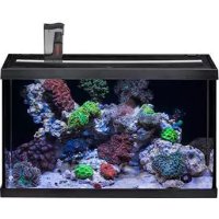 Aaquasar 63 marine EHEIM