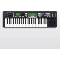 YAMAHA Harmony Director HD200A - Музыкальный инструмент