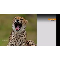 Lumix HES200GC PANASONIC