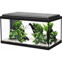 Aquarium Aquatlantis