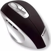 eVolution ERGOSHARK L Cherry