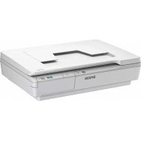 EPSON DS5500 - Scanner