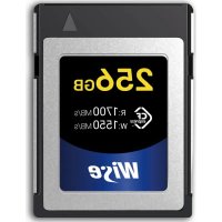 Wise CFXB256 - Carte mémoire