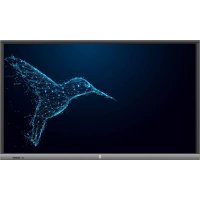 Avtek 5 Lite 65 - Moniteur