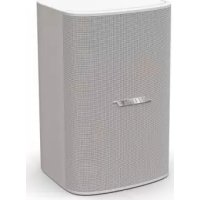 BOSE DesignMax DM6SE - 扬声器