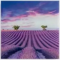 IAN 317306 SILVERCREST