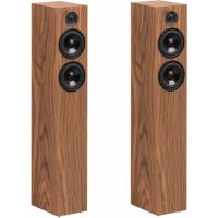Speaker Box 10 DS2 PRO-JECT