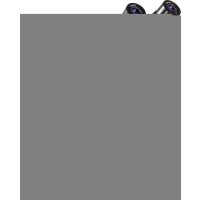 Kern OZL 445 - Microscope