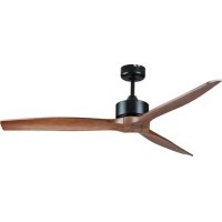 Sonnenkönig Livorno - Fan