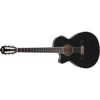 Notice IBANEZ AEG10NII Guitare