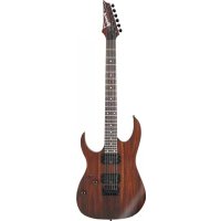 IBANEZ RG421RW - ギター