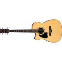 IBANEZ Artwood AW70ECE - ギター