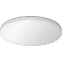 STEINEL RS PRO R30 Basic SC - 灯