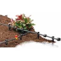 IAN 86285 FLORABEST