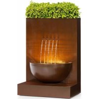 Windflower Blumfeldt