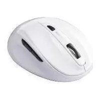 SFM 4 C4 SILVERCREST