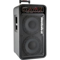 COMBO450 TC ELECTRONIC