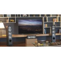 Sonus Faber Principia - Altoparlante