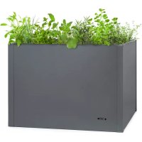 Highgrow Deluxe Blumfeldt