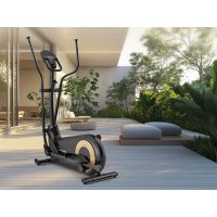 Carbon P24RG Skandika