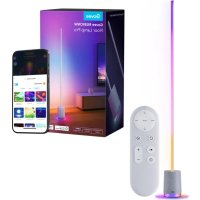 Notice Govee H6079 Lampe
