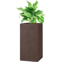 Solid Grow Rust Blumfeldt