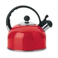 Ernesto IAN 270043 - Bouilloire électrique