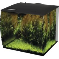 Fluval Flex - Aquarium