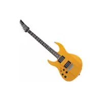 Notice LINE 6 JAMES TYLER VARIAX JTV89US Guitare