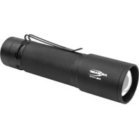 ANSMANN Future T600FRB - Lampe de poche