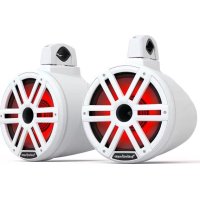 Rockford Fosgate M2WL10H - Speaker