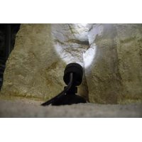 Pontec PondoStar LED Set 6 - Belysning