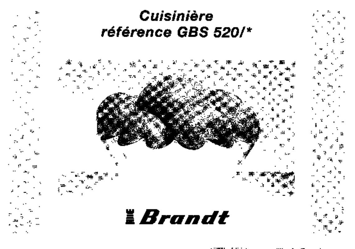 Guide utilisation BRANDT GBS520 de la marque BRANDT
